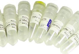 L-羥脯氨酸的生產(chǎn) 從天然提取到生物合成的現(xiàn)代工業(yè)流程